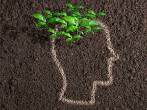 العملاء والممارسات الخضراء